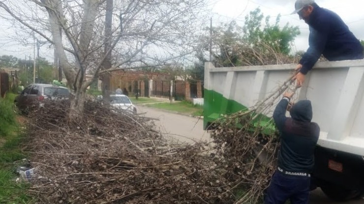Trabajos de limpieza en Bosques e Ingeniero Allan
